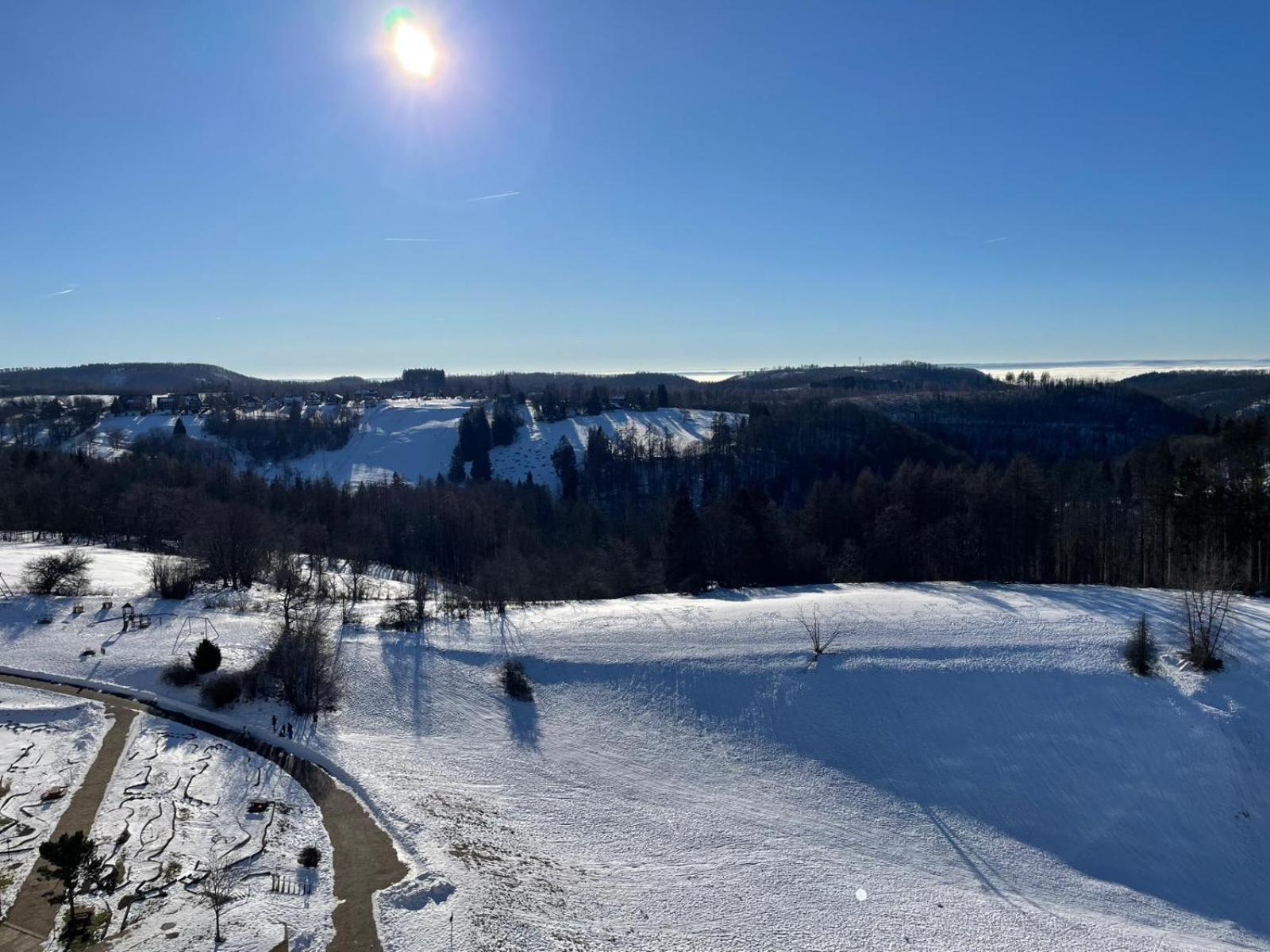 Modernes Harz Ueber Den Baumspitzen Lejlighed Braunlage