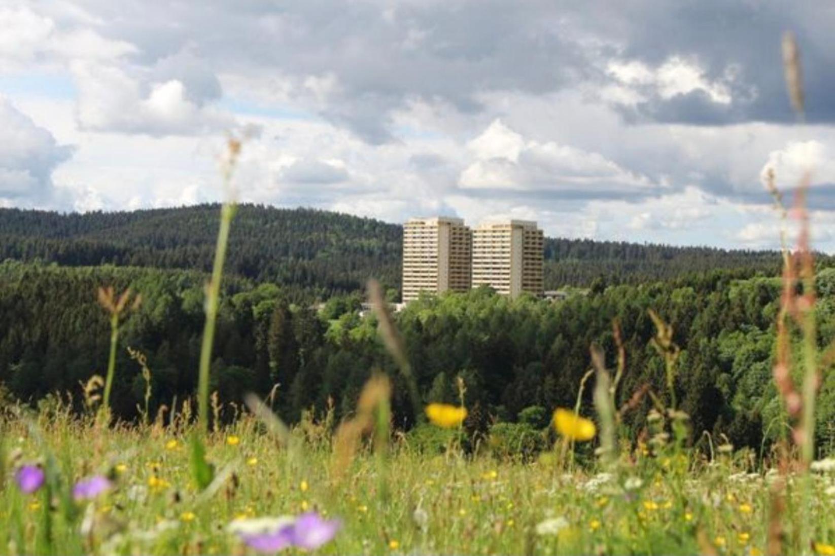 Lejlighed Modernes Harz Ueber Den Baumspitzen Braunlage